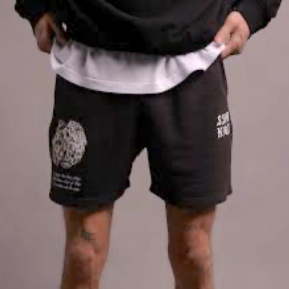 🐺 Darc Sport Shorts - Picture 1 of 6